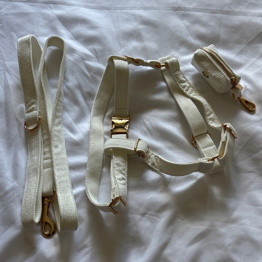 Ivory/Gold Dog Harness Set